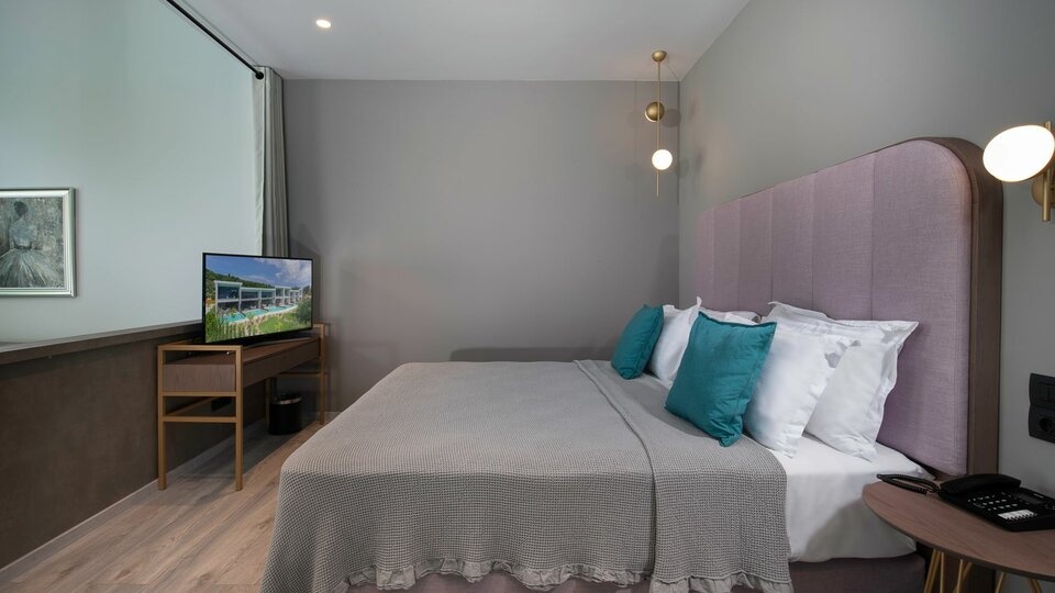 Luxury Apartment