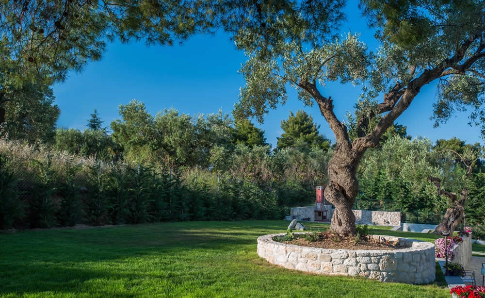Mirabilia Boutique Hotel Chalkidiki — снимка 2